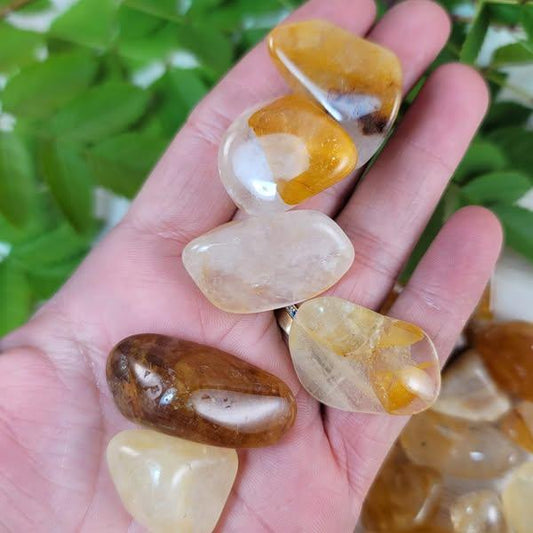 Golden Healer Tumble