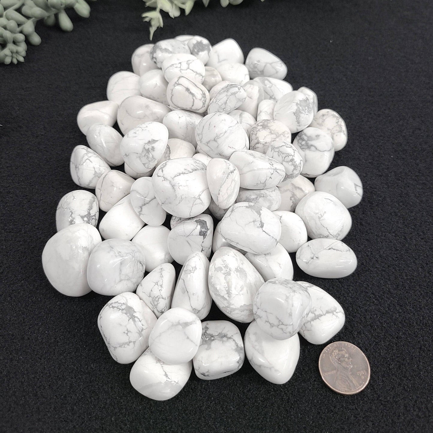 White Howlite Tumble