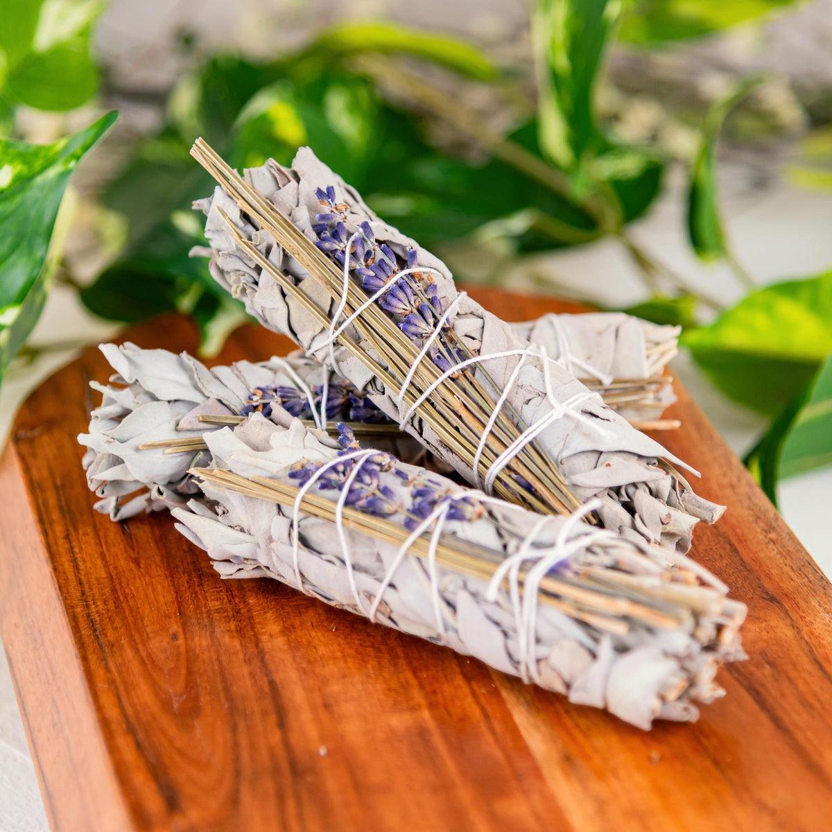 White Sage & Lavender Smudge Bundle