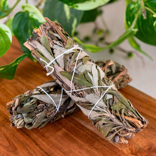 Black Sage (Mugwort) Smudge Bundle